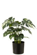 J-LINE MONSTERA IN POT – KUNSTPLANT GROEN