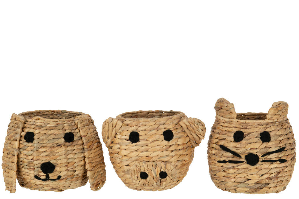 J-LINE MAND KAT/HOND/VARKEN WATERHYACINTH NATUREL