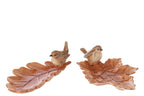 Plaat Deco Dolomiet Karamel Assortiment Van 2