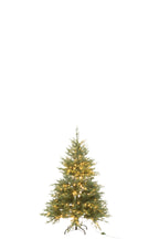 Boom 600 Led Donkergroen Klein