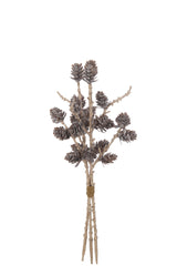 J-Line Bundle Pine Cones Plastic Brown/Gold