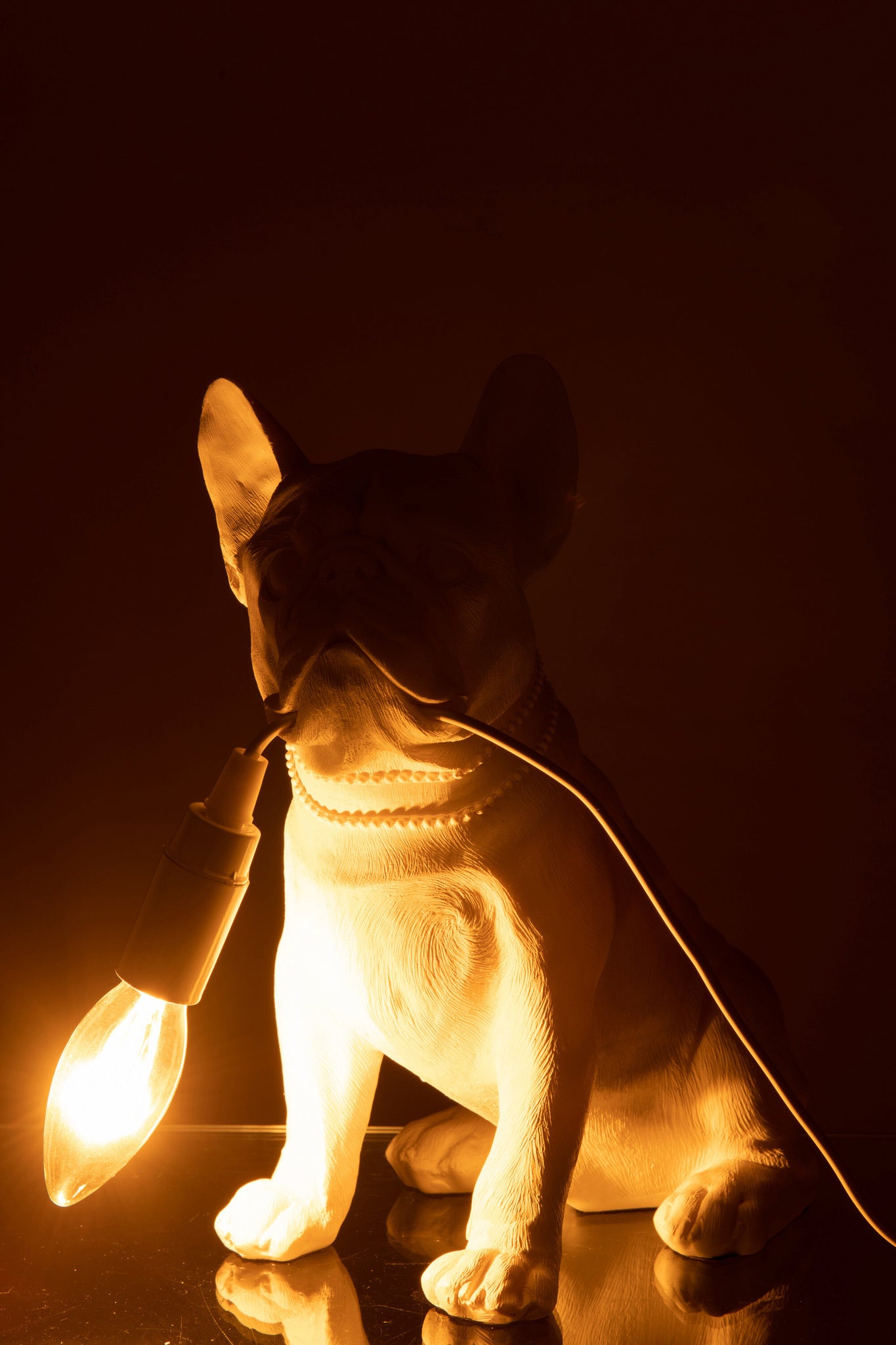 Lamp Bulldog Poly Wit