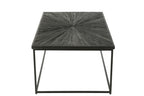 Salontafel Shanil Hout/IJzer Zwart
