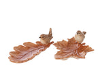 Plaat Deco Dolomiet Karamel Assortiment Van 2